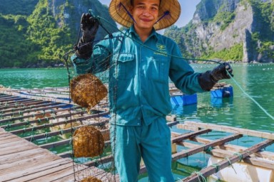 Hanoi - Halong Bay - Cua Van Fishing Village - Tien Ong Cave (L, D)